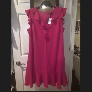 Lane Bryant Dress